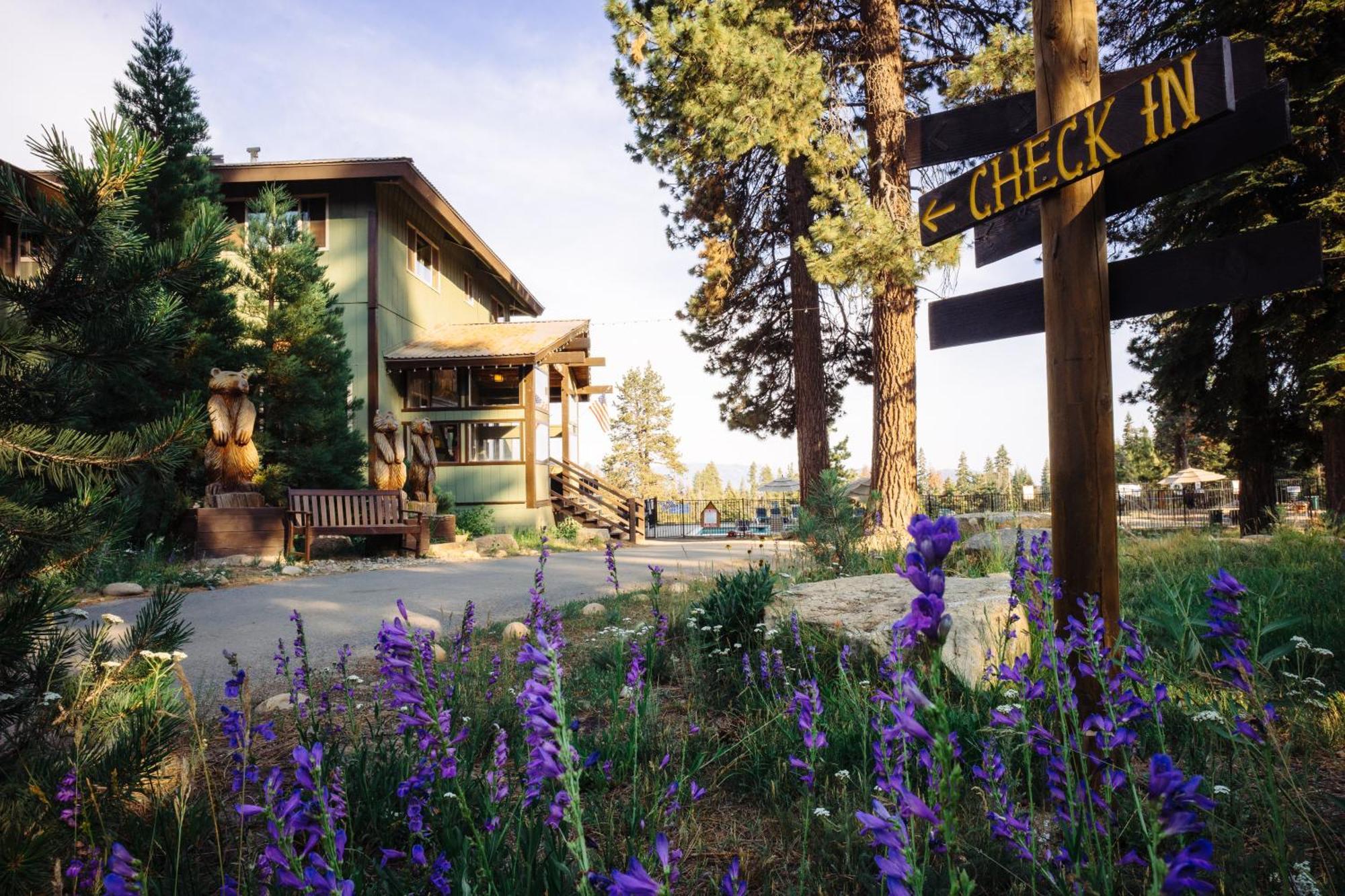 Montecito Sequoia Lodge Wilsonia Extérieur photo